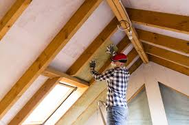 Best Commercial Insulation Services  in Shady Hollow, TX