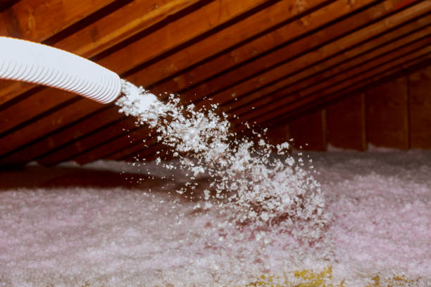 Best Basement Insulation  in Shady Hollow, TX