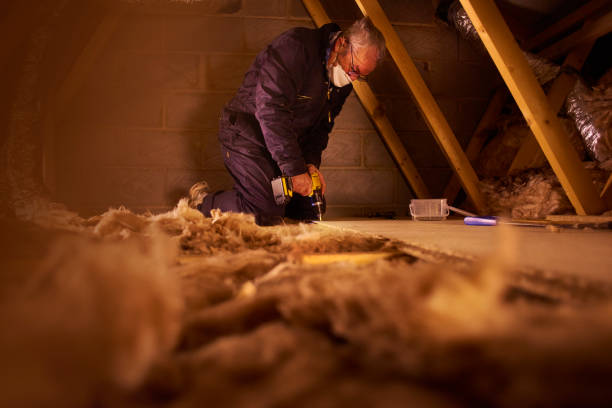 Best Attic Insulation Installation  in Shady Hollow, TX